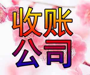 Ҫծѡ-20վ顿